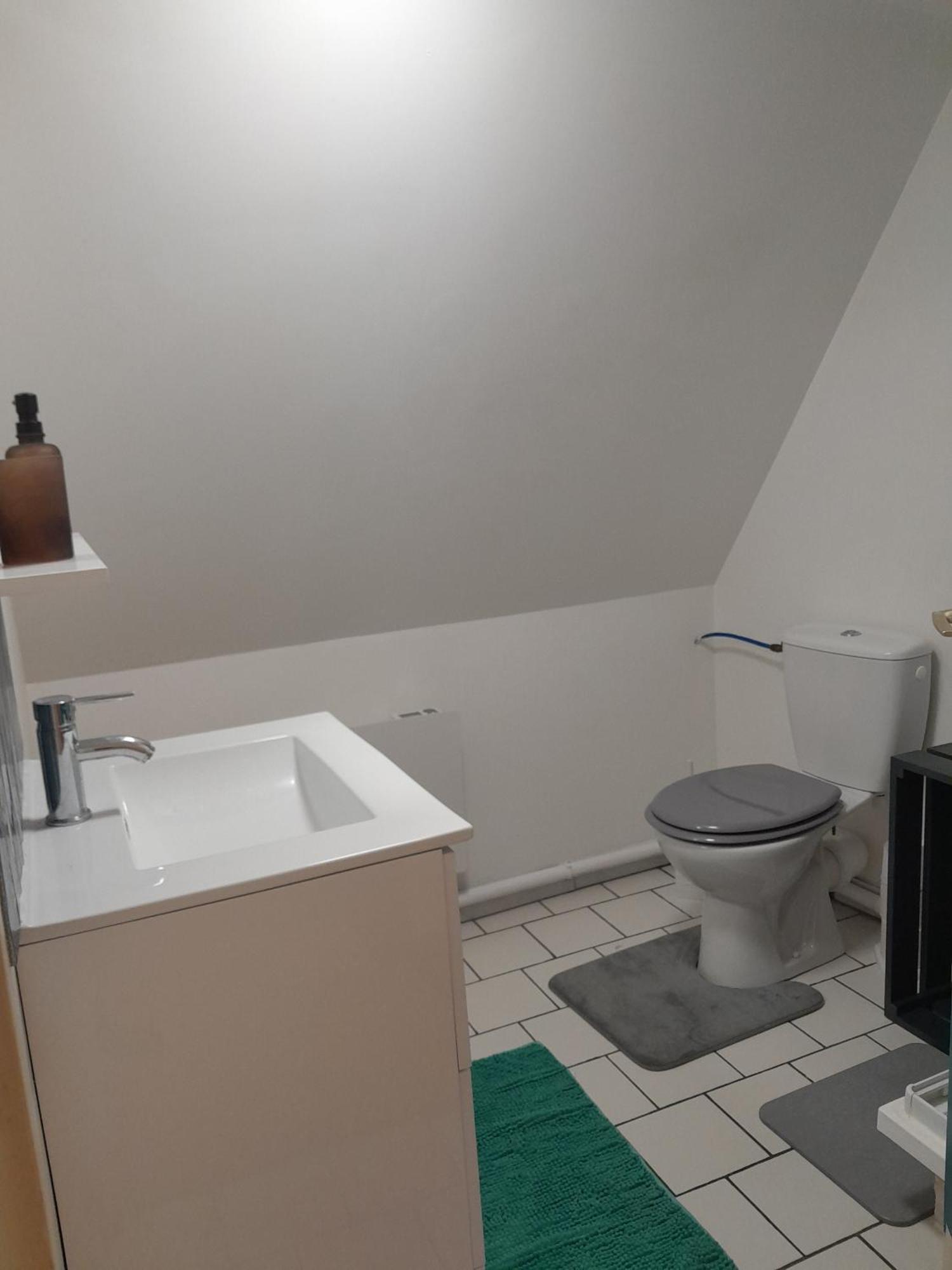 Duplex Charmant Au Coeur De Levroux ภายนอก รูปภาพ